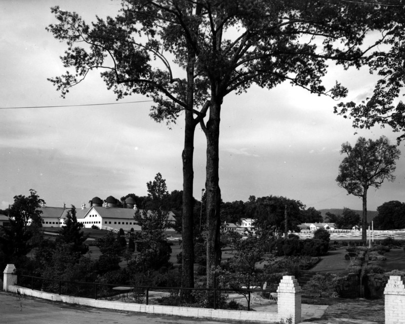 view from tavern