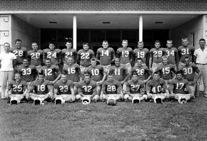 bulldogs