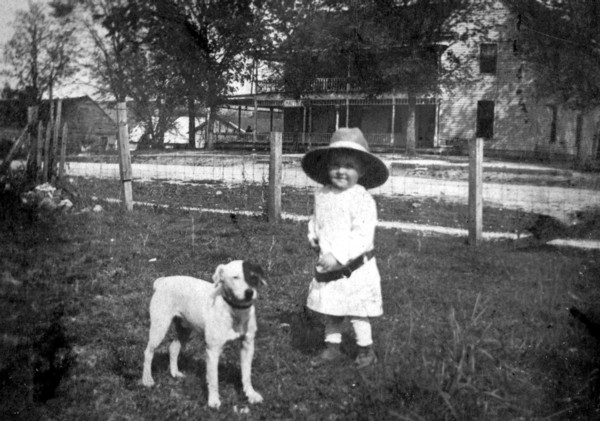 dog